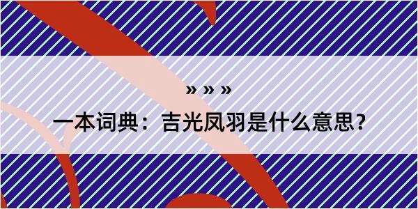 一本词典：吉光凤羽是什么意思？