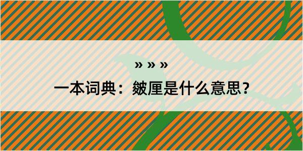 一本词典：皴厘是什么意思？