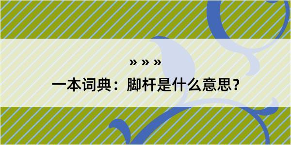 一本词典：脚杆是什么意思？