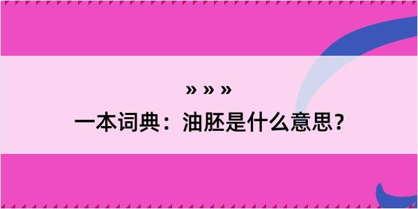 一本词典：油胚是什么意思？