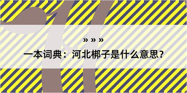 一本词典：河北梆子是什么意思？