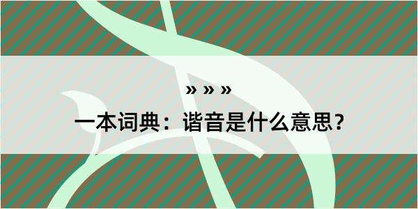 一本词典：谐音是什么意思？