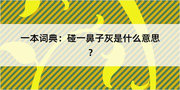 一本词典：碰一鼻子灰是什么意思？