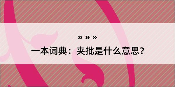 一本词典：夹批是什么意思？