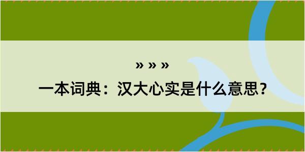 一本词典：汉大心实是什么意思？