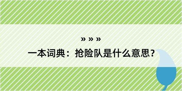 一本词典：抢险队是什么意思？