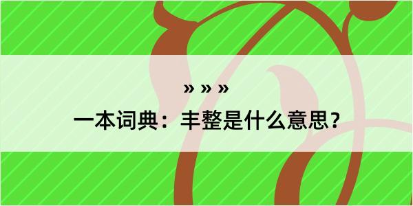 一本词典：丰整是什么意思？