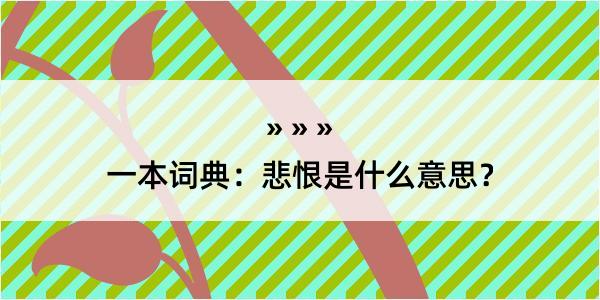 一本词典：悲恨是什么意思？