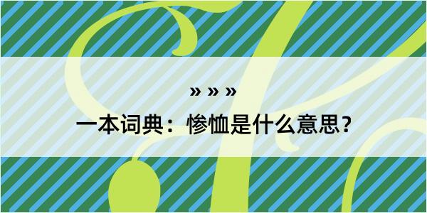 一本词典：惨恤是什么意思？