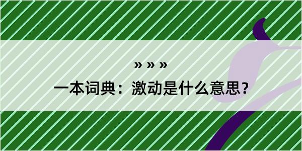 一本词典：激动是什么意思？