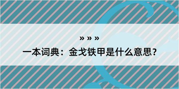 一本词典：金戈铁甲是什么意思？