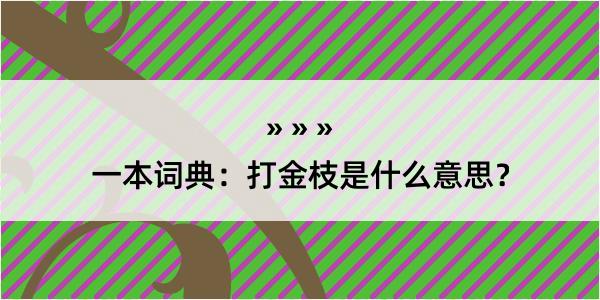 一本词典：打金枝是什么意思？