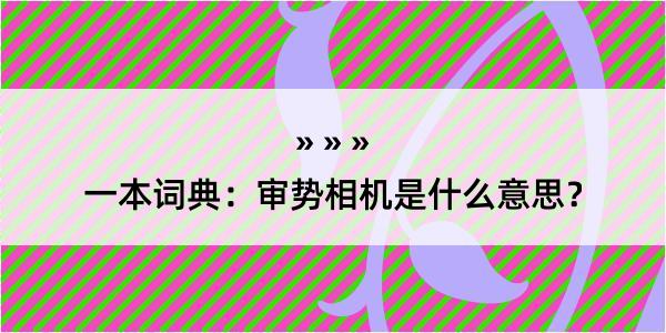 一本词典：审势相机是什么意思？