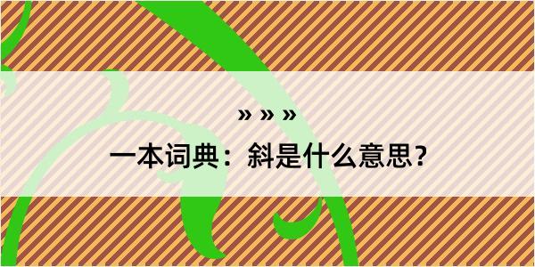 一本词典：斜是什么意思？