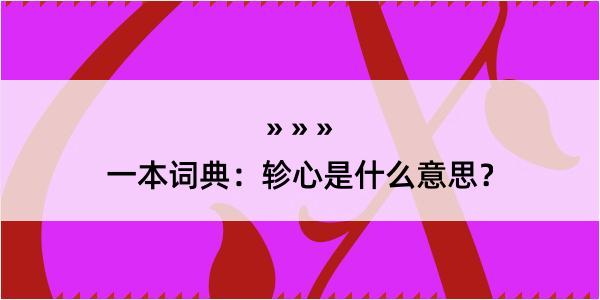 一本词典：轸心是什么意思？