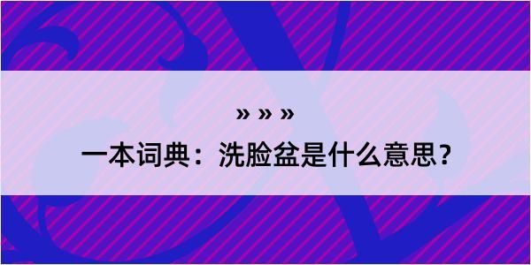 一本词典：洗脸盆是什么意思？