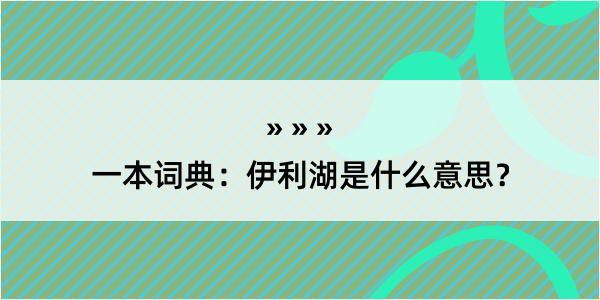 一本词典：伊利湖是什么意思？