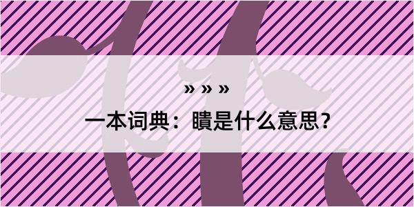 一本词典：瞶是什么意思？