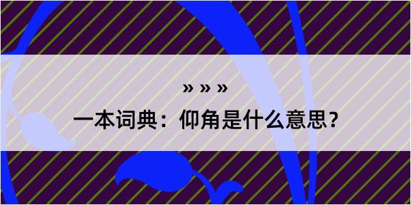 一本词典：仰角是什么意思？