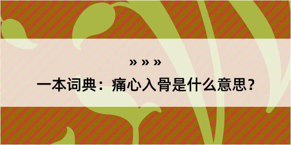 一本词典：痛心入骨是什么意思？