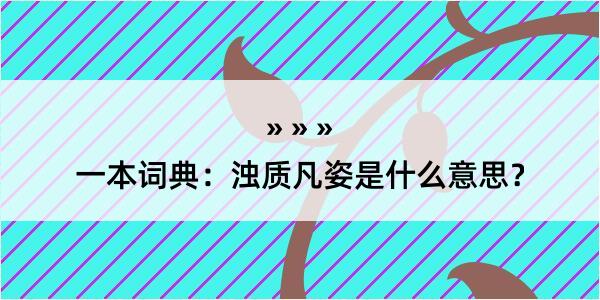 一本词典：浊质凡姿是什么意思？