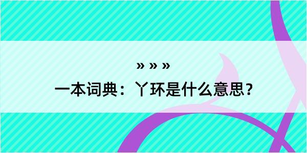 一本词典：丫环是什么意思？