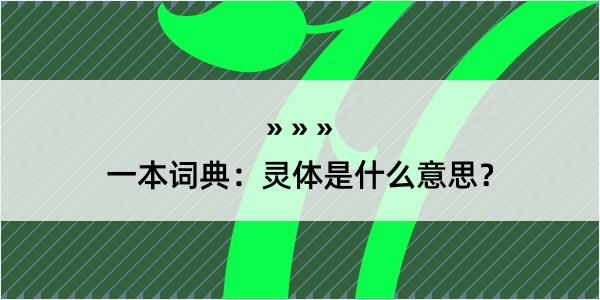 一本词典：灵体是什么意思？