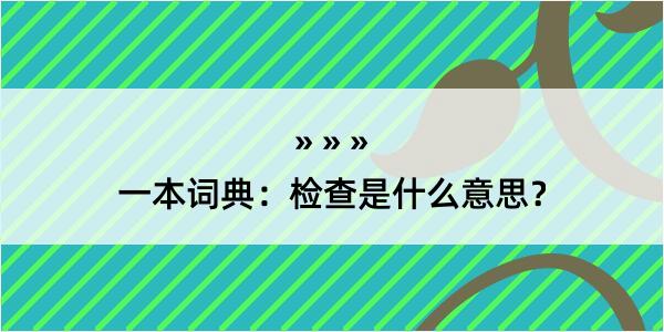 一本词典：检查是什么意思？