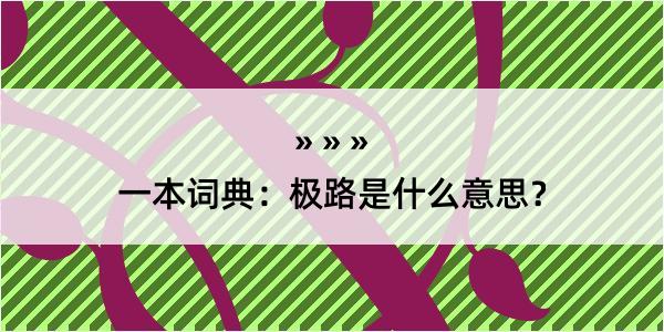 一本词典：极路是什么意思？