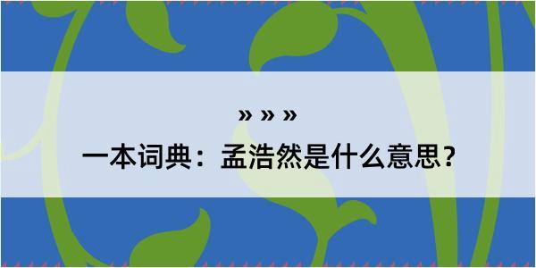 一本词典：孟浩然是什么意思？