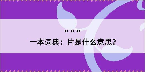 一本词典：片是什么意思？