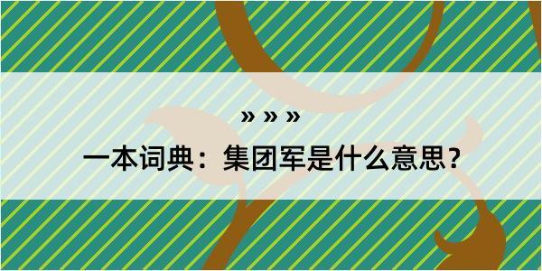 一本词典：集团军是什么意思？