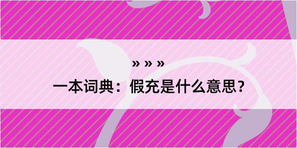 一本词典：假充是什么意思？