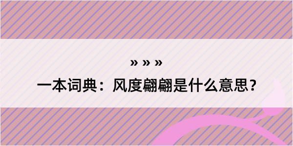 一本词典：风度翩翩是什么意思？