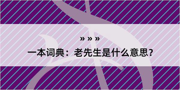 一本词典：老先生是什么意思？