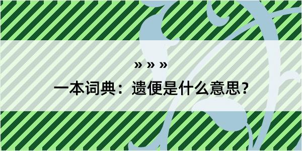 一本词典：遗便是什么意思？