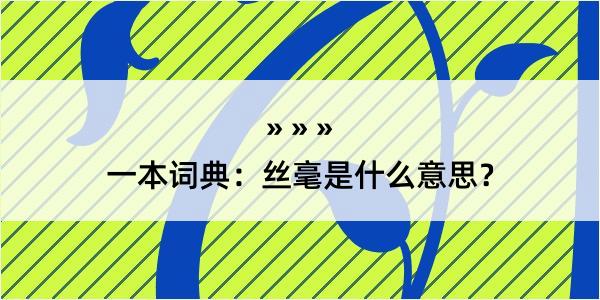 一本词典：丝毫是什么意思？