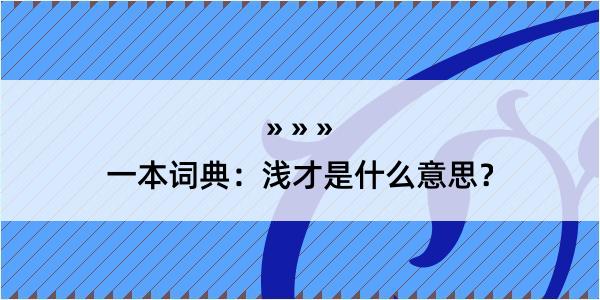 一本词典：浅才是什么意思？