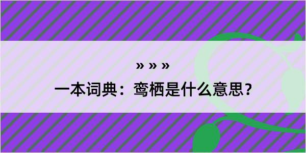 一本词典：鸾栖是什么意思？