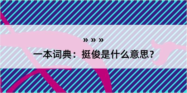 一本词典：挺俊是什么意思？