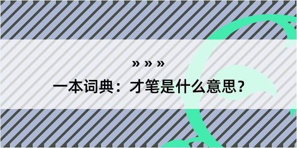 一本词典：才笔是什么意思？