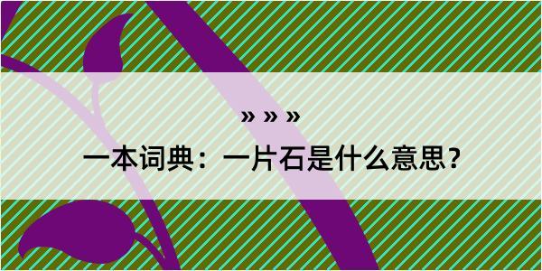 一本词典：一片石是什么意思？