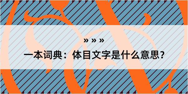 一本词典：体目文字是什么意思？