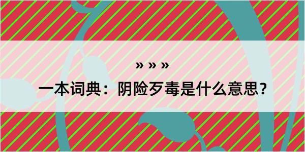 一本词典：阴险歹毒是什么意思？