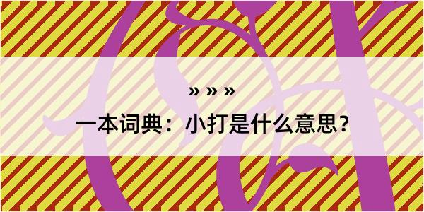 一本词典：小打是什么意思？