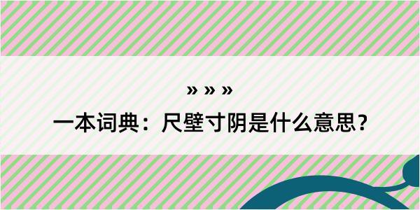 一本词典：尺壁寸阴是什么意思？