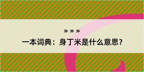 一本词典：身丁米是什么意思？