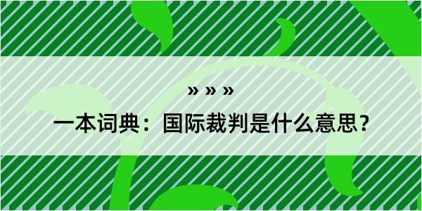 一本词典：国际裁判是什么意思？