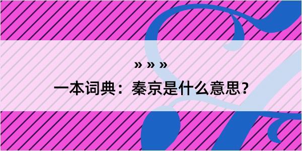 一本词典：秦京是什么意思？