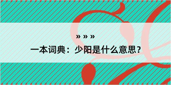 一本词典：少阳是什么意思？